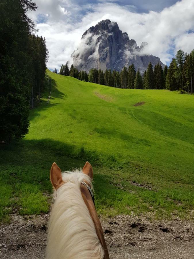 Hotel Pozzamanigoni Selva di Val Gardena Luaran gambar